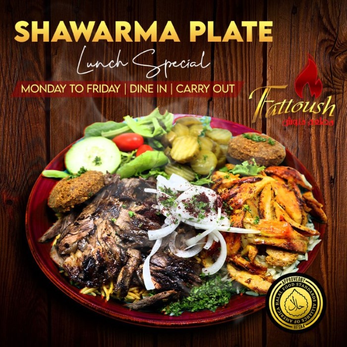 Fattoush Restaurant Chicago Shawarma Plate